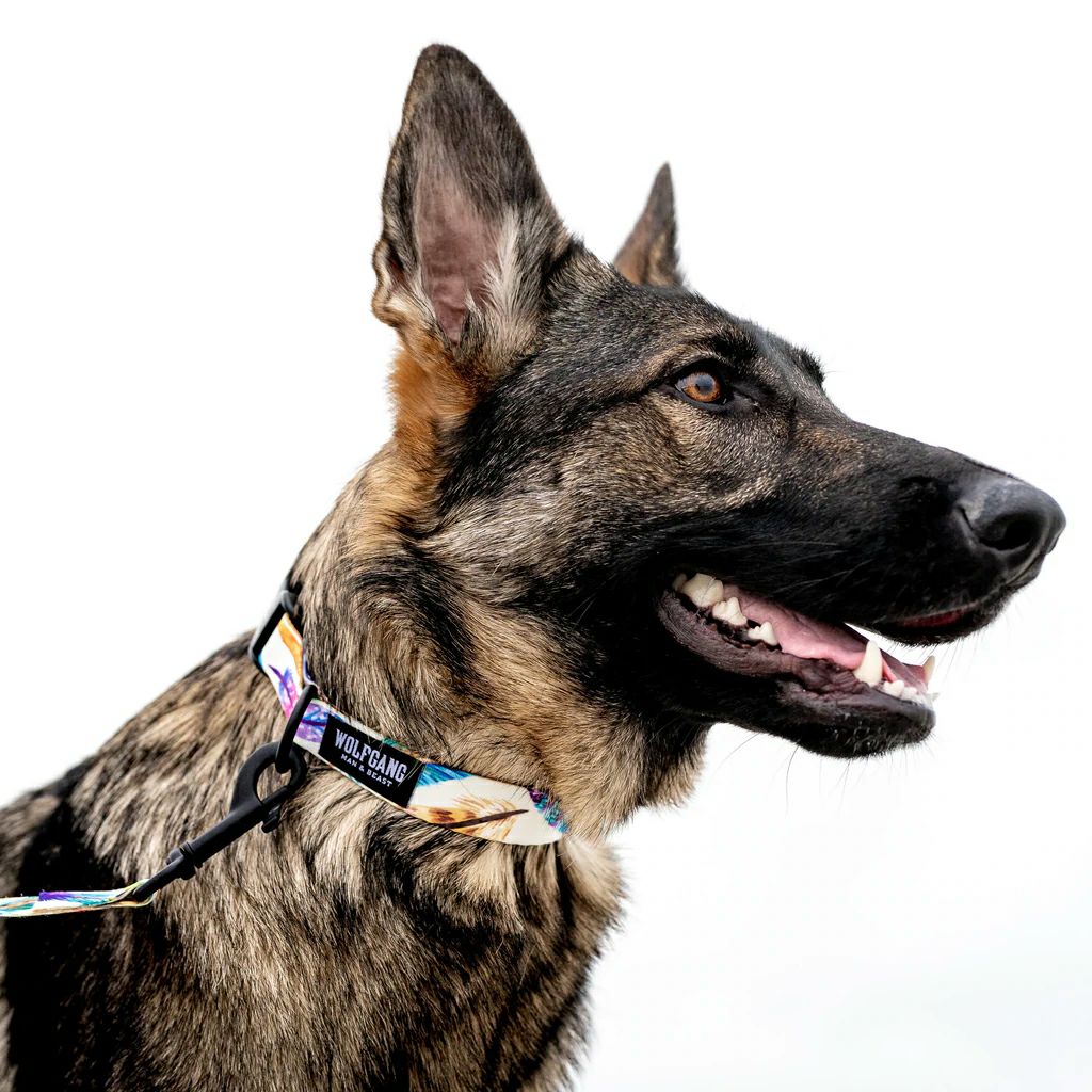 FeatheredFriend（フェザードフレンド）／首輪・リード・ハーネス